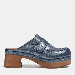 Coach turnlock clogs